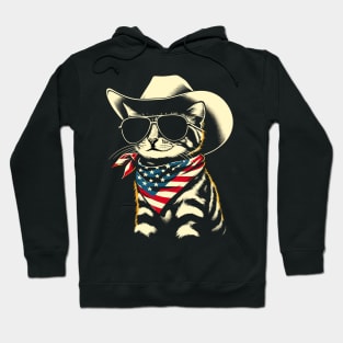 USA Flag Cat 4th of July Funny Patriotic Hoodie